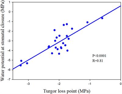 Strategies of tree species to adapt to drought from leaf stomatal regulation and stem embolism resistance to root properties